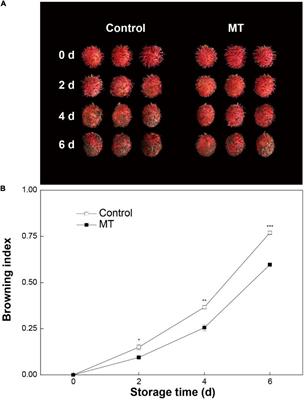 Attenuation of Postharvest Browning in Rambutan Fruit by Melatonin Is Associated With Inhibition of Phenolics Oxidation and Reinforcement of Antioxidative Process
